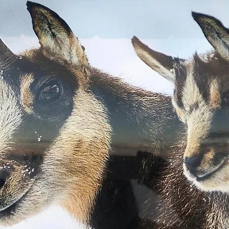 Vewoesee Lakeboarding Balcony Lejlighed