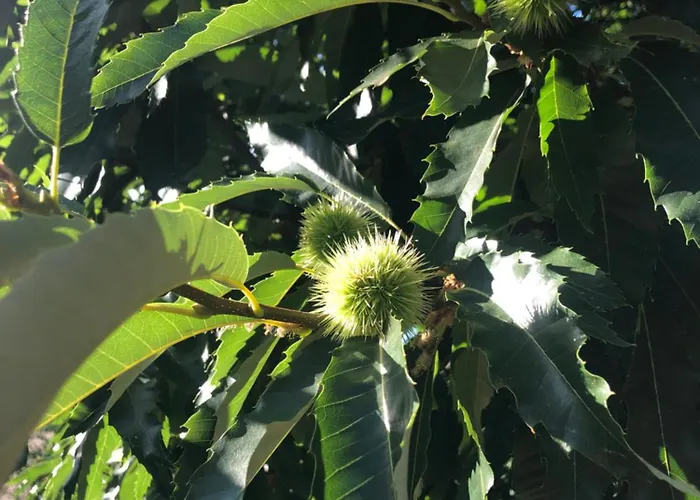 Lejlighed Vewoesee Lakeboarding Balcony