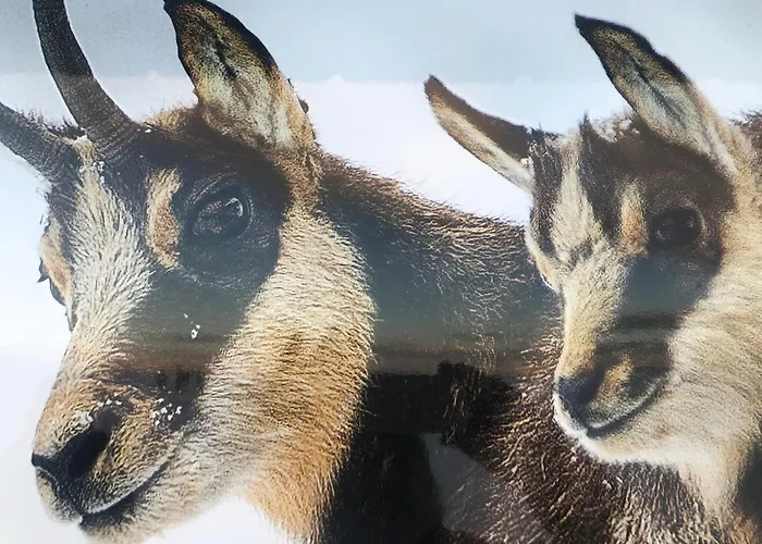Vewoesee Lakeboarding Balcony Lejlighed